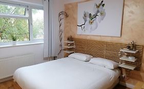 Beautiful Double Bedroom In Shared Flat Near Olympic Park In Stratford London